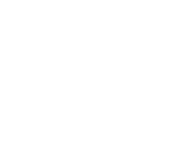WHITE ICON